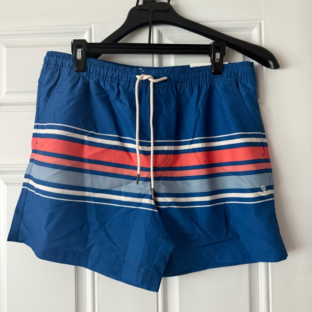American Eagle Outfitters Blue and Red Striped Swim Trunks
